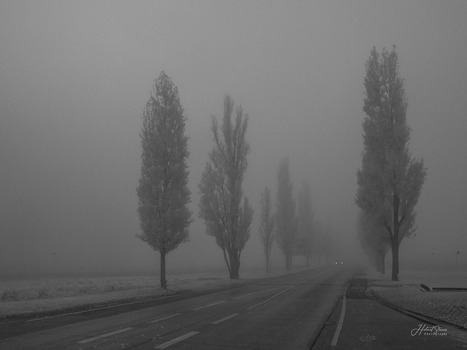 Ein morgentlicher  Herbstnebel