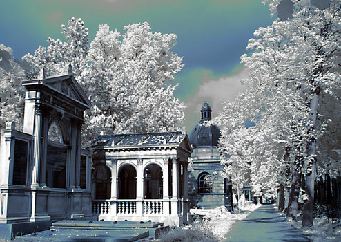 Zentralfriedhof