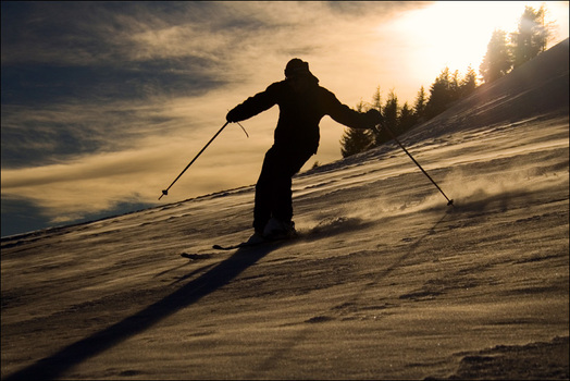 FreeRide
