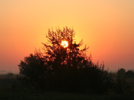 Sonnenaufgang am Sandeck