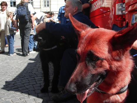 Feuerwehrfest