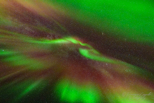 Corona (3)