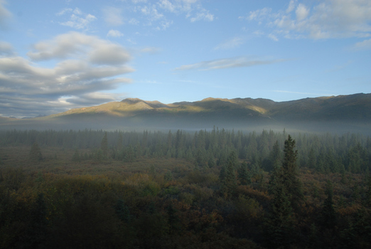 Denali Nationalpark