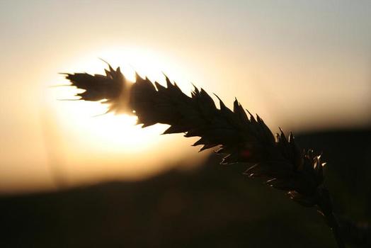 Schatten in der Sonne
