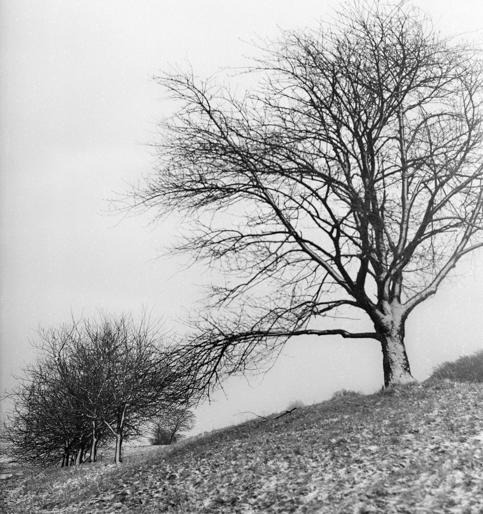 Kein Winterwunderland