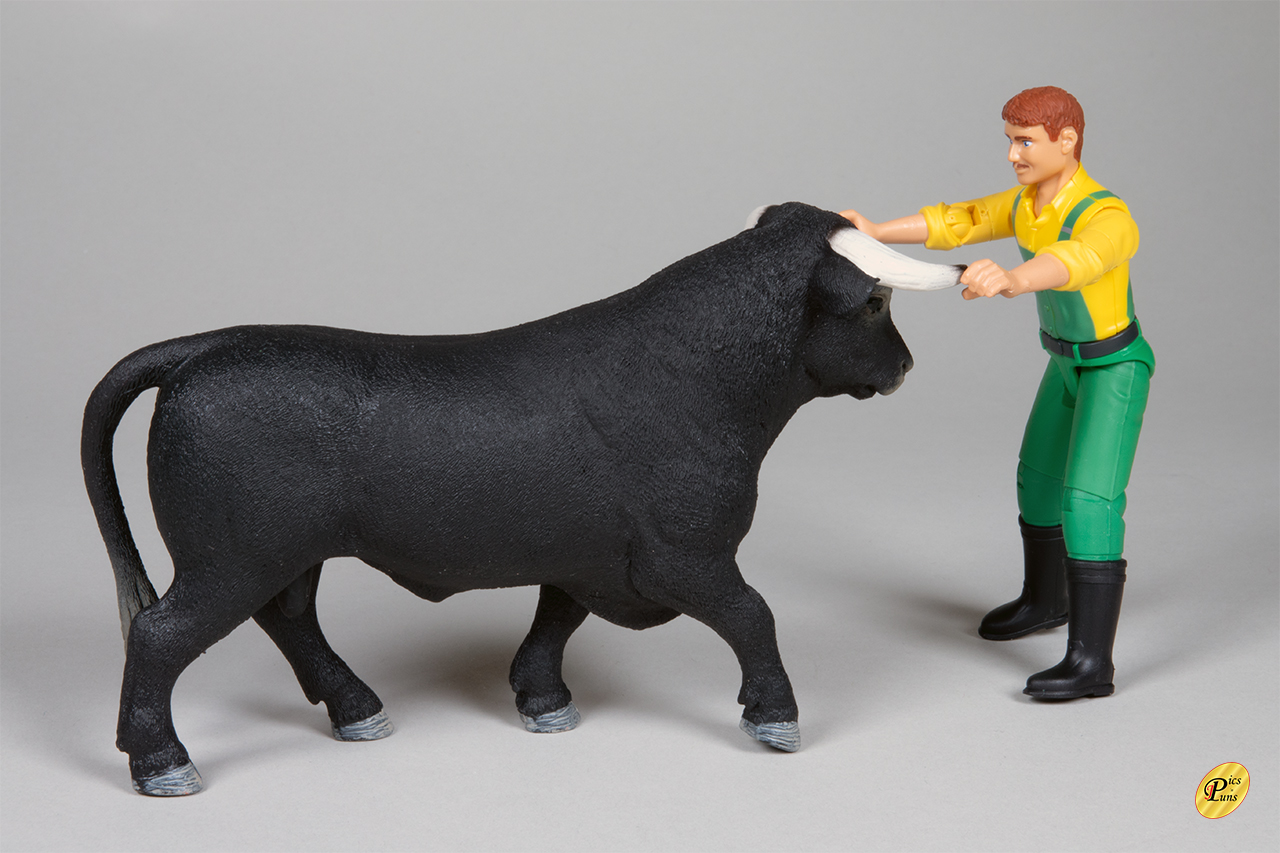 Den Stier bei den Hörnern packen