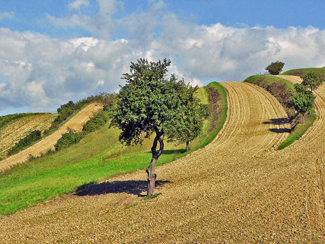 Weinviertler Impressionen