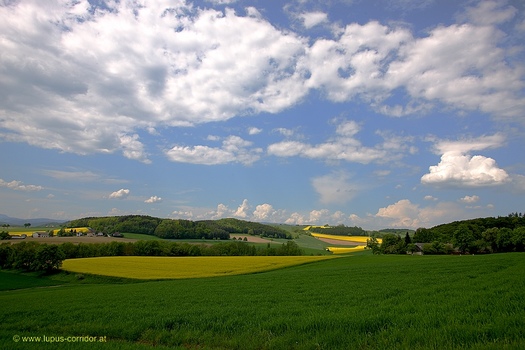 Blick aus den Autofenster