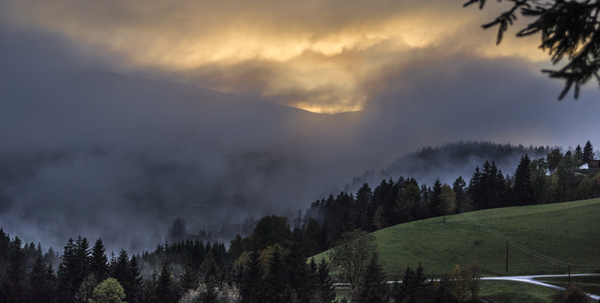 Abend in der Waldheimat