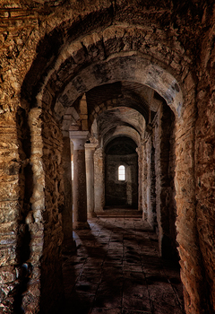 der Weg ins Licht