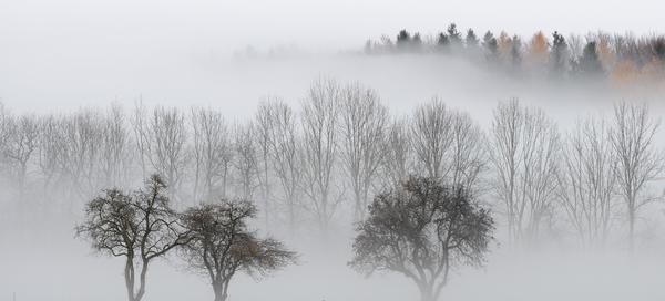 Nebel Landschaft