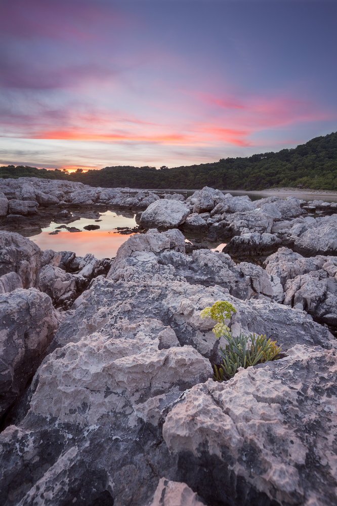 Saplunara. Mljet. Croatia.