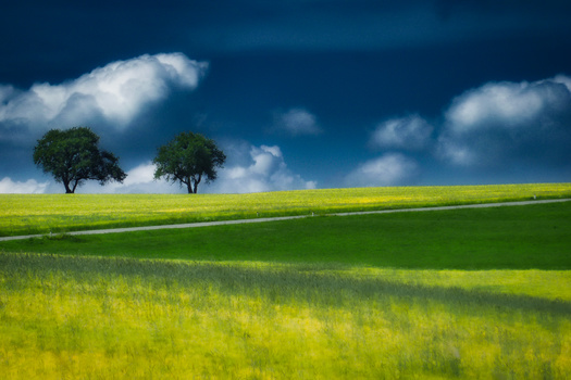 SPRING COLORS