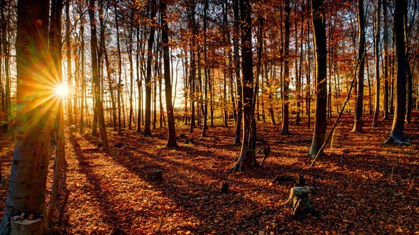 November in Gaaden