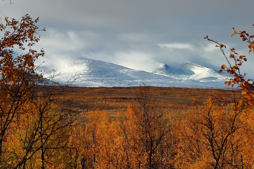 Abisko...