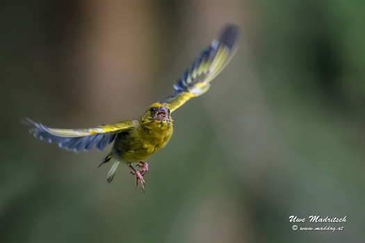 Take-off