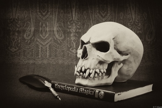 Gothic Stillife 2