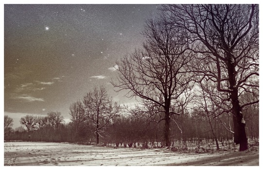 Aulandschaft