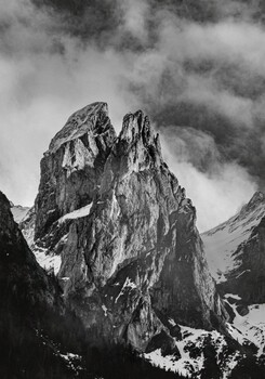 "Der Turm"
