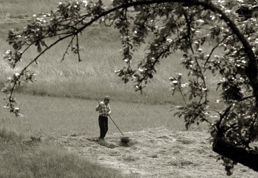 Landwirt