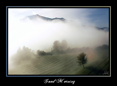 Good Morning