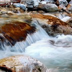 Nur Wasser
