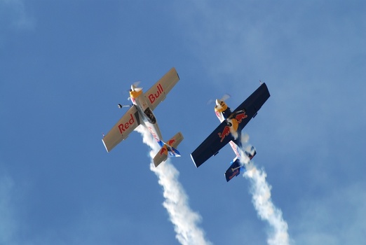 flying bulls