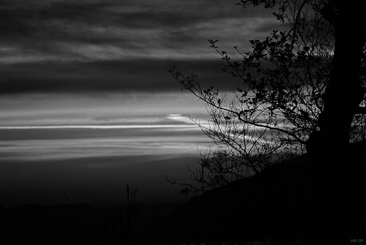 Abendstimmung
