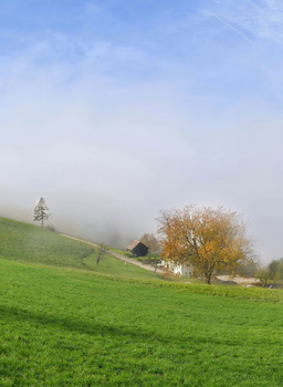 am Gmundnerberg