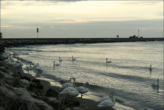 At The Seaside