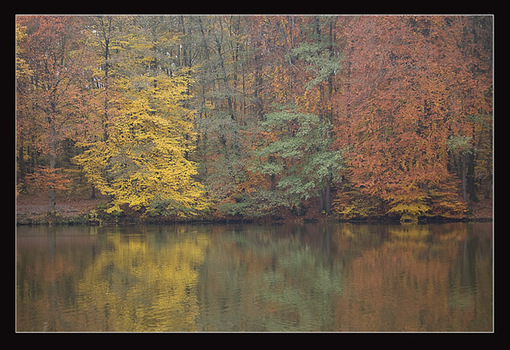 Die Farben des Herbstes