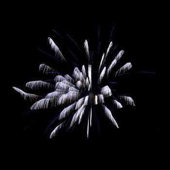 Feuerblume