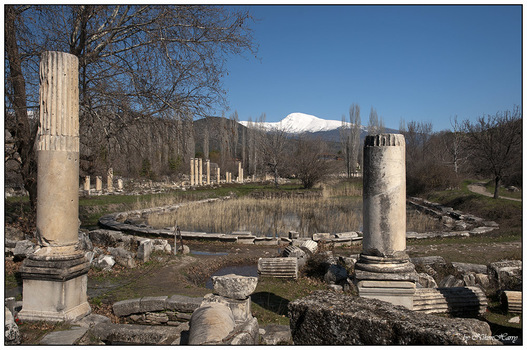 Agora