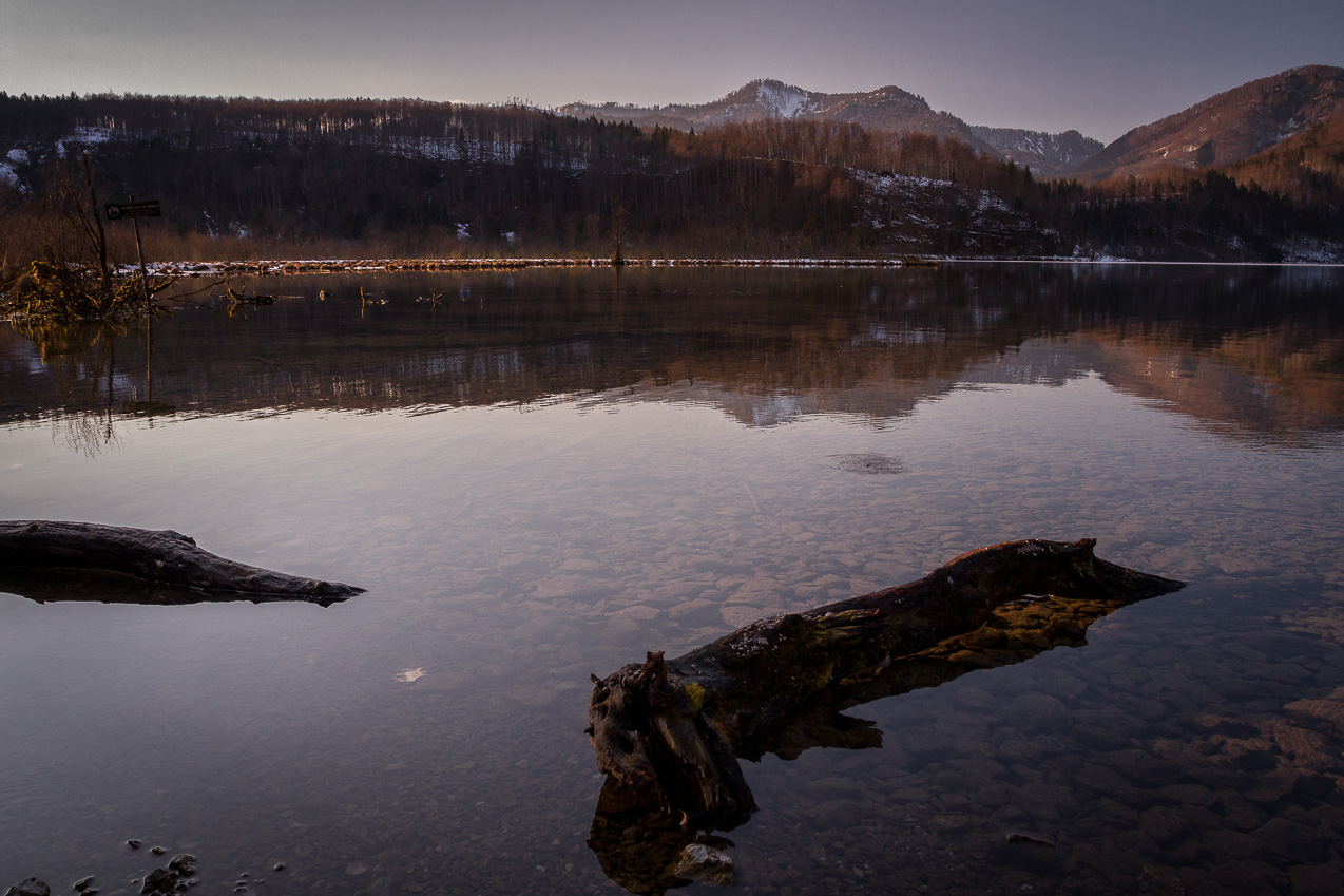 Almsee