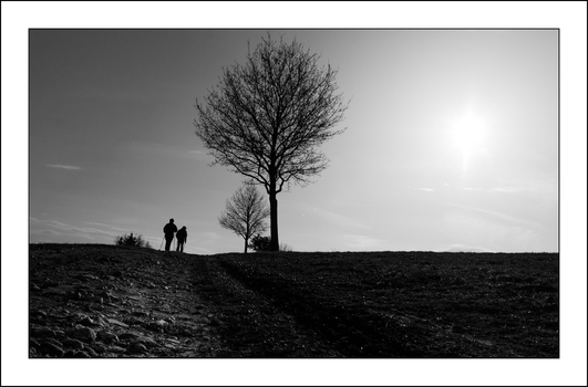 Abendspaziergang