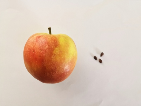 Anfang und Ende