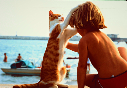 Tina und die Katzen