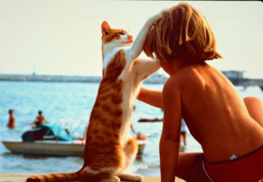 Tina und die Katzen