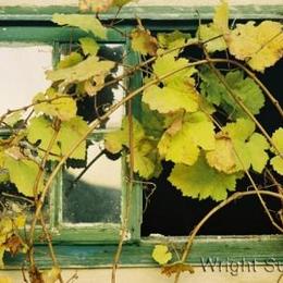 Fenster