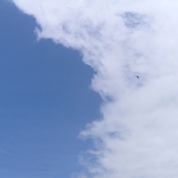 Himmelvogelwolke