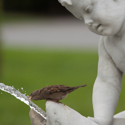 Mensch und Natur