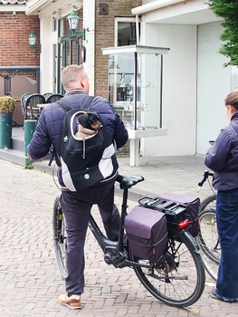 Auf geht's...