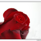 Liebe....