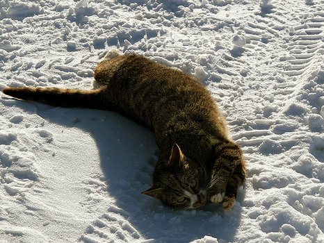 schneebad