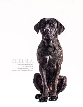Chelsea
