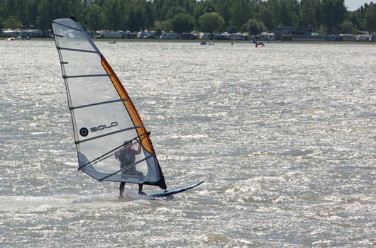 Windsurfer