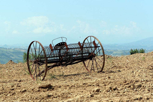 Landwirtschaft