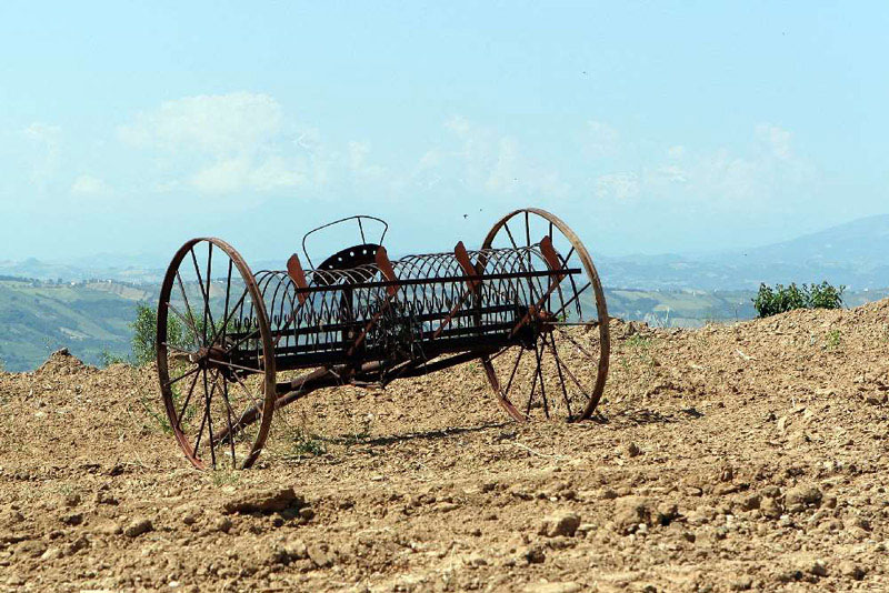 Landwirtschaft