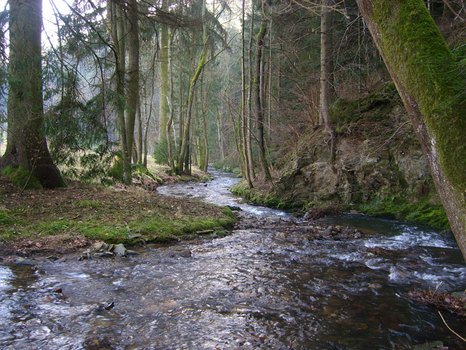 Schwarzaubach