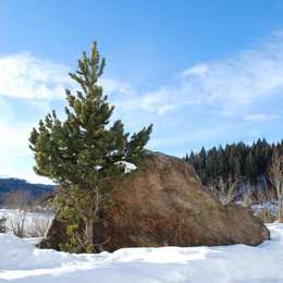 Winter am Berg